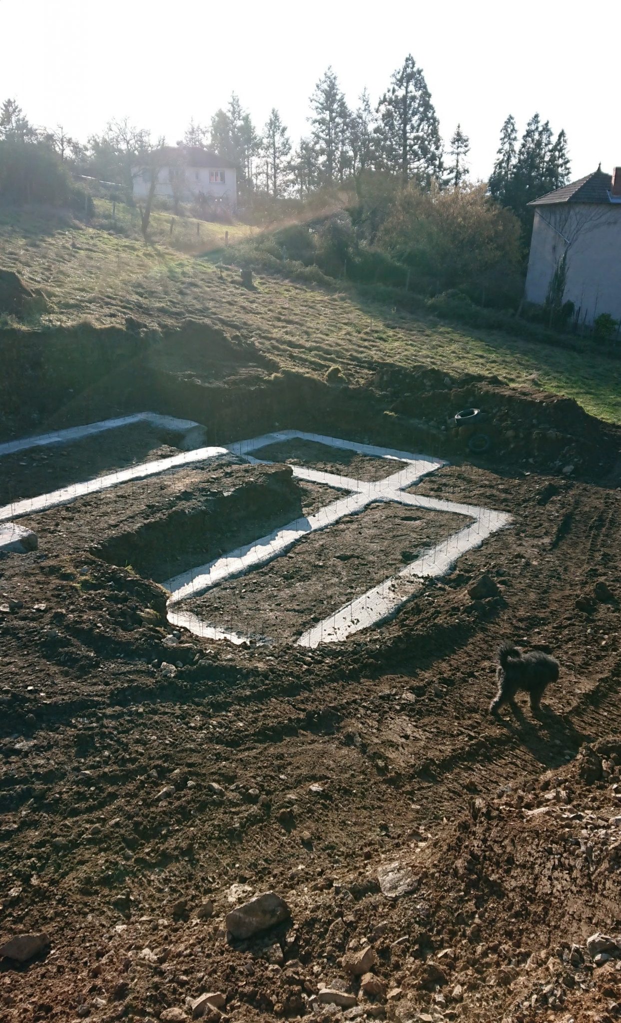 wp-1608752563653-1243x2048