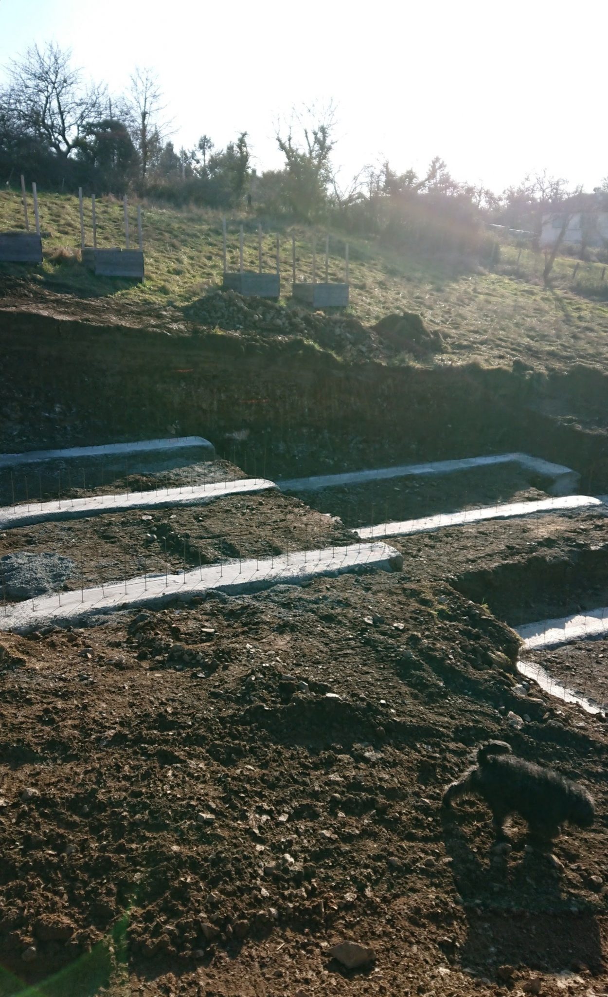 wp-1608752563688-1250x2048